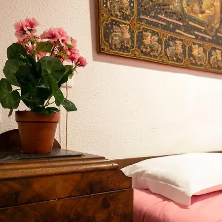 Ground Floor Santa Margherita Apt Ac Wi-fi ונציה
